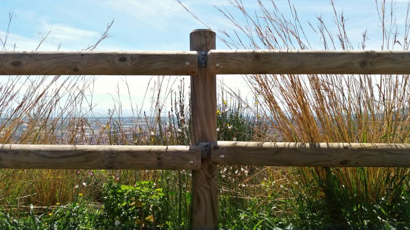 Rustic Wooden Fence